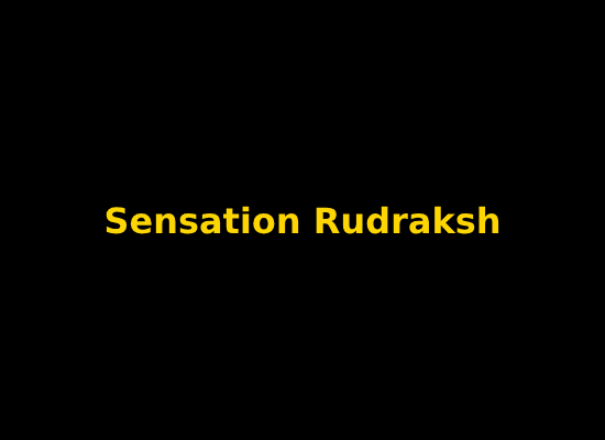 Sensation Rudraksh Image